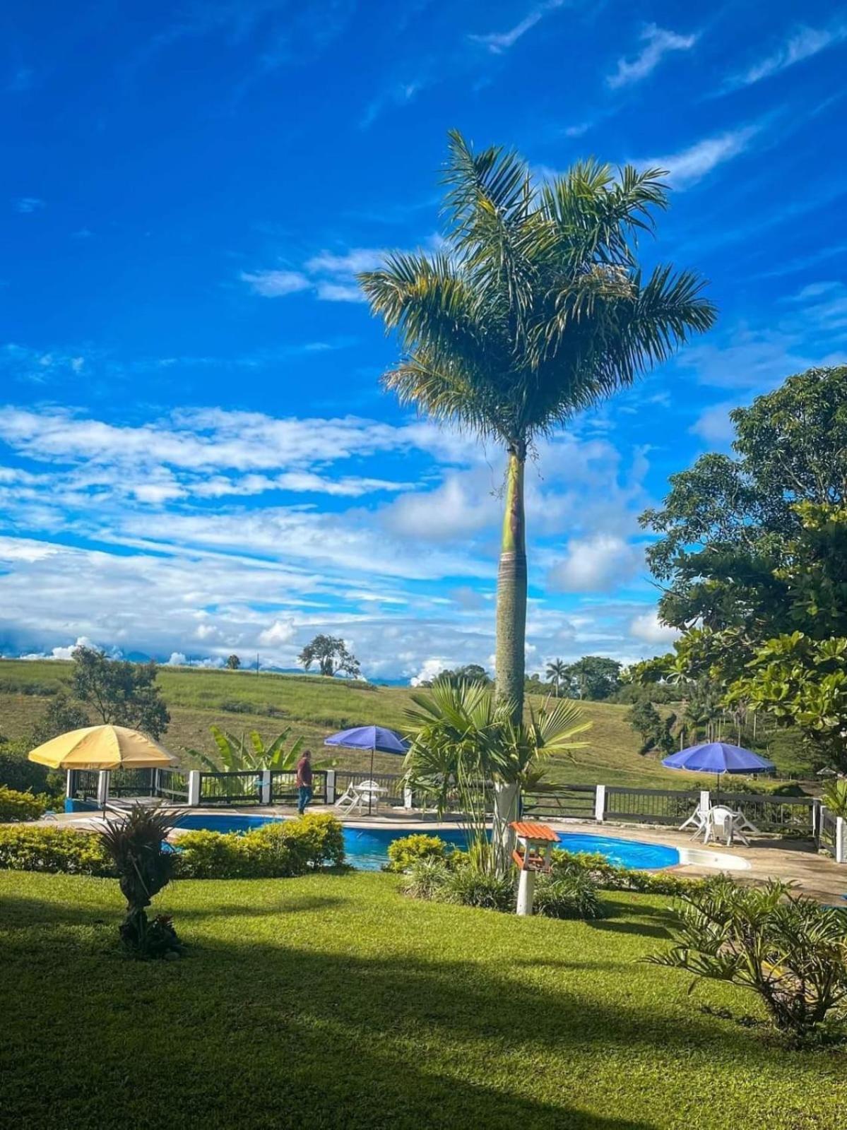 Finca Hotel Palmas Frente A Panaca Quimbaya Exterior photo